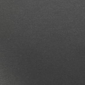 earl-platin-metallic